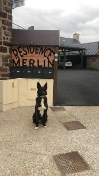 Residence Merlin Appart Des Druides Saint-Malon-sur-Mel Exterior photo